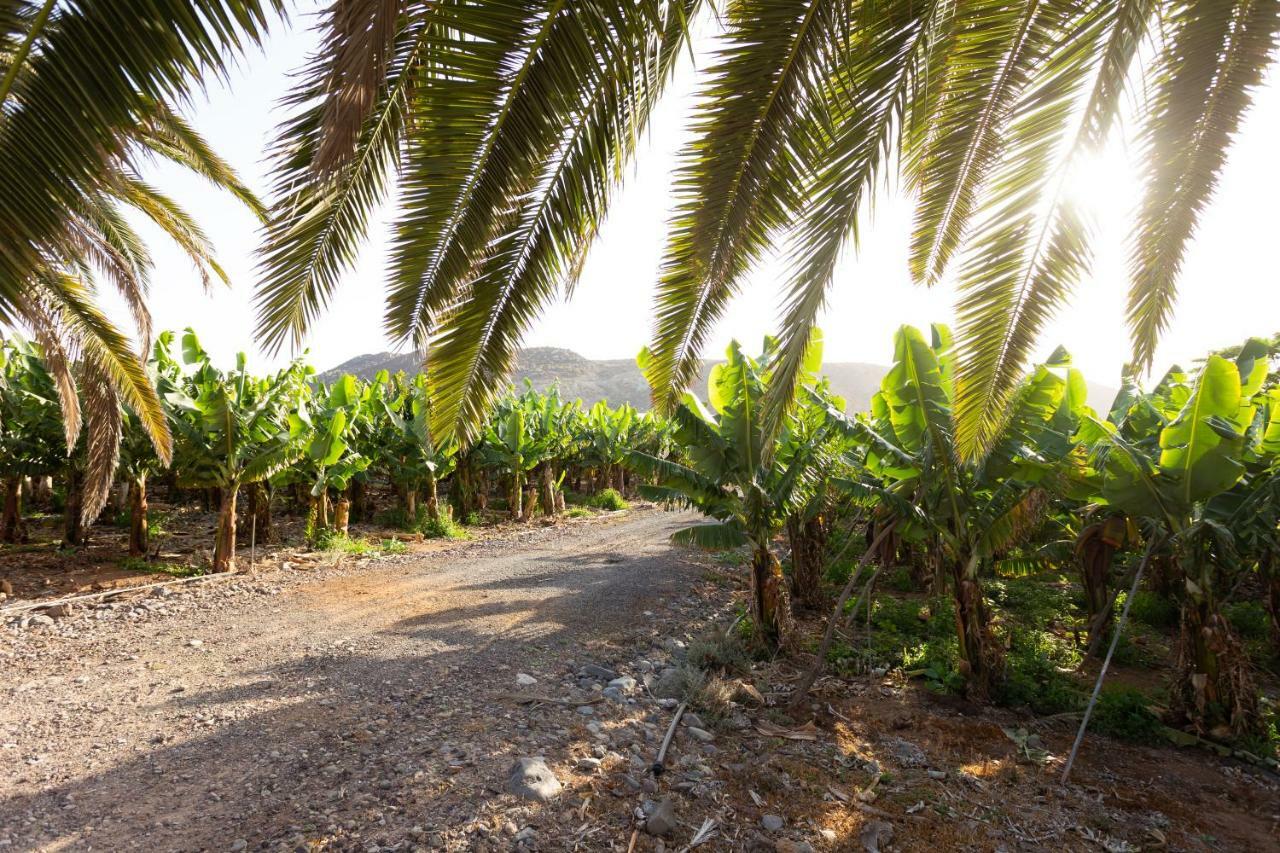 Casita 1, Caserio de Guaza Palm-mar Esterno foto