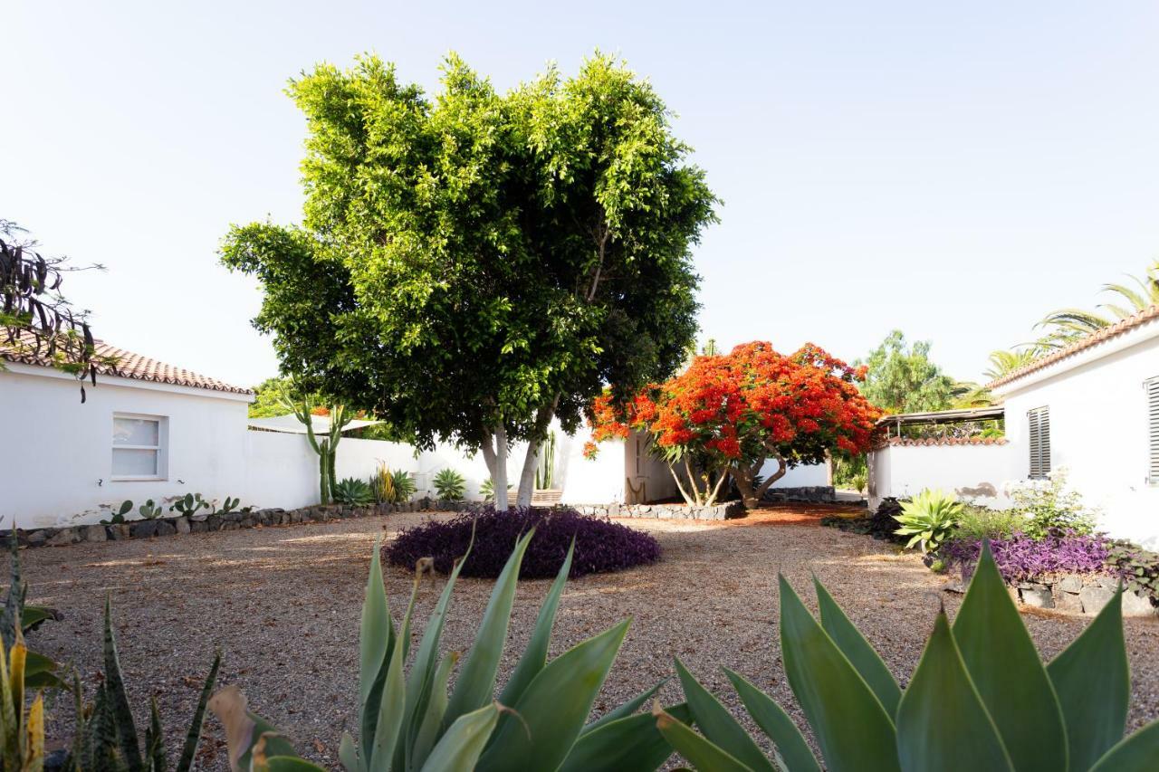 Casita 1, Caserio de Guaza Palm-mar Esterno foto